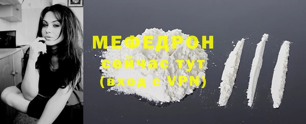 МДПВ Вяземский