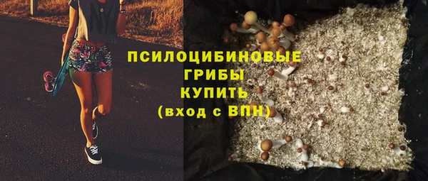 спиды Вязьма