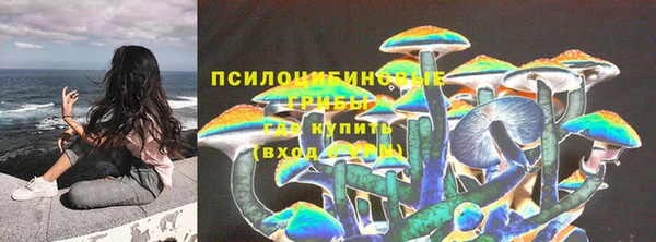 МДПВ Вяземский