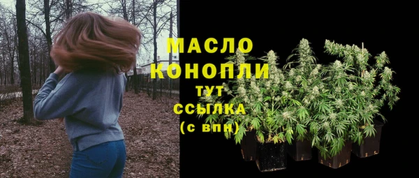 МДПВ Вяземский