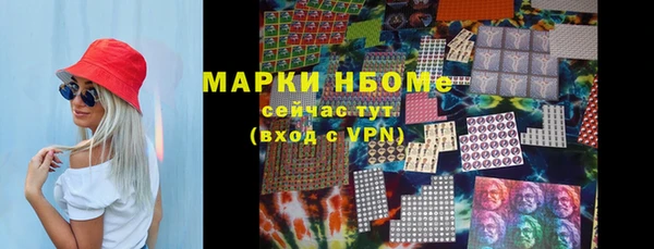 МДПВ Вяземский