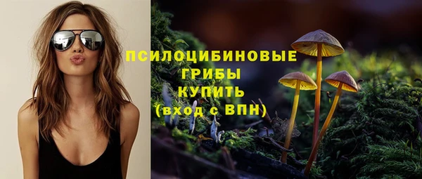 спиды Вязьма