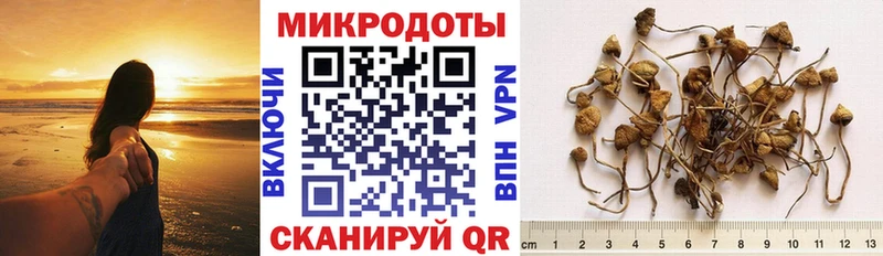 Псилоцибиновые грибы прущие грибы  Макаров 
